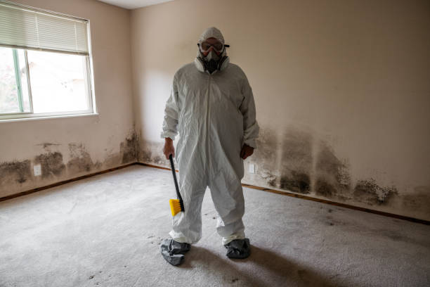 Best Local Mold Removal Service  in Chapel Hill, TN